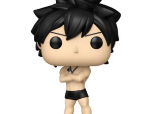 Funko Pop! Animation Fairy Tail 100 Years Quest 2287 Gray (Chase)